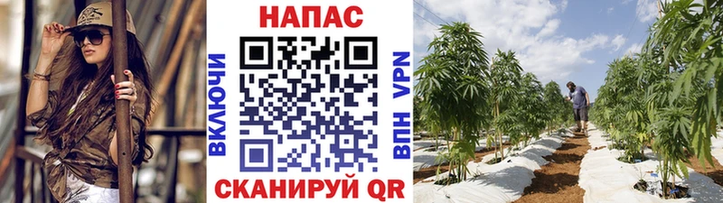 Марихуана White Widow  Алатырь 